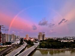 The Riverine By The Park (D12), Apartment #582352631